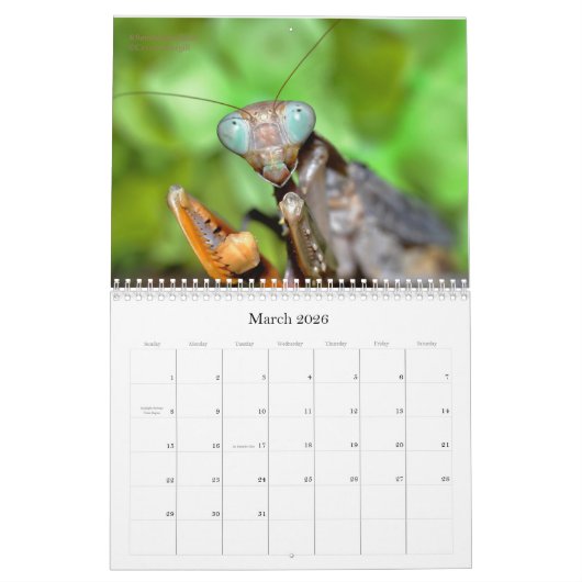 Calendrier Mantidforum haute résolution 2016 (Mar 2026)