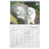 Calendrier Marbre blanc moderne - Photo pour animaux de compa (Jan 2026)