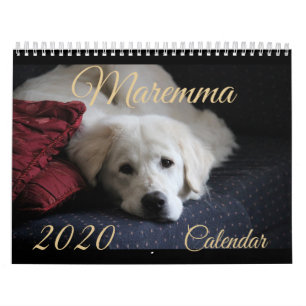 Calendrier maremmatique 2020