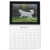Calendrier maremmatique 2020 (Feb 2027)