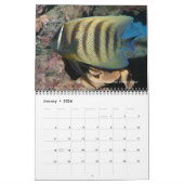 Calendrier Marine Angelfishes Wall Calendar de J.W. Patrie (Jan 2026)