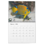 Calendrier Marine Angelfishes Wall Calendar de J.W. Patrie (Feb 2026)