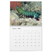 Calendrier Marine Fish and Sea Life 2021 (Jan 2026)