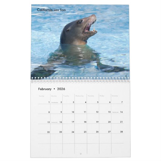 Calendrier Marine mammals calendar (Feb 2026)