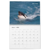 Calendrier Marine mammals calendar (Mar 2026)