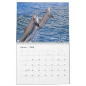 Calendrier Marine mammals calendar (Jan 2026)