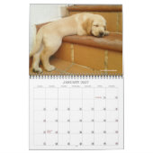 Calendrier Marionnette d'Oli 2020 (Jan 2027)