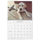 Calendrier Marionnette d'Oli 2020 (Mar 2027)