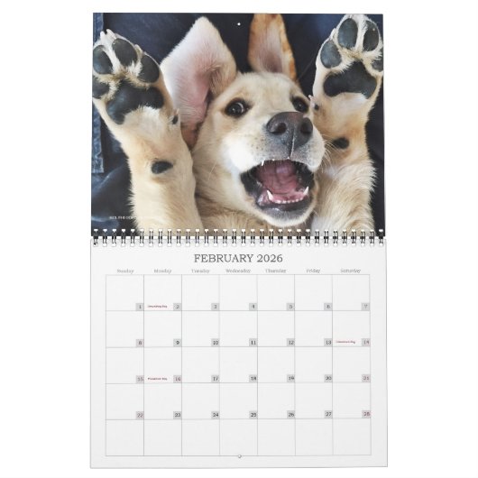 Calendrier Marionnette d'Oli 2020 (Feb 2026)