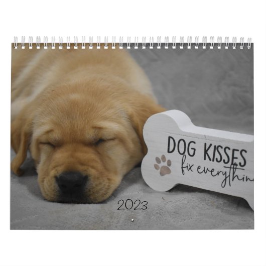 Calendrier Marionnettes Labrador (Protection)