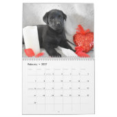 Calendrier Marionnettes Labrador (Feb 2027)