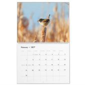 Calendrier Marsh Wren (Feb 2027)