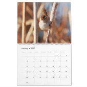 Calendrier Marsh Wren (Jan 2027)