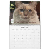 Calendrier Mascotte Chat (Jan 2027)