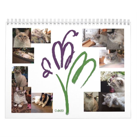 Calendrier Mascotte Chat (Protection)