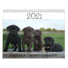Calendrier Mastador Puppies 2021