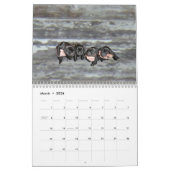 Calendrier Mastador Puppies 2021 (Mar 2026)