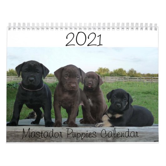 Calendrier Mastador Puppies 2021 (Protection)