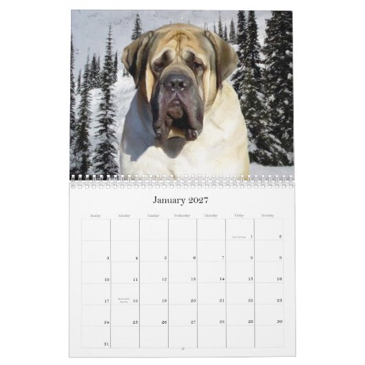 Calendrier Mastiff (Jan 2027)