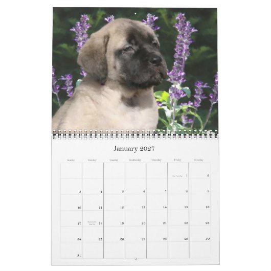 Calendrier Mastiff Puppies (Jan 2027)