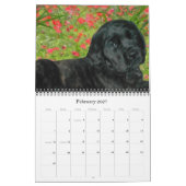 Calendrier Mastiff Puppies (Feb 2027)