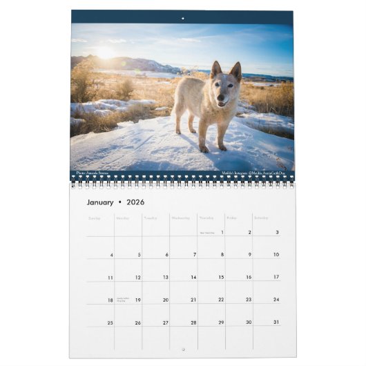 Calendrier Matilda, Amour et Lumière 2021 (Jan 2026)