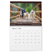 Calendrier Matilda, Amour et Lumière 2021 (Feb 2026)