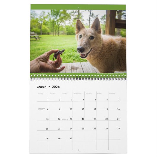 Calendrier Matilda, Amour et Lumière 2021 (Mar 2026)