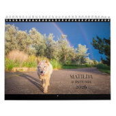 Calendrier Matilda & Petunia 2026 (Protection)