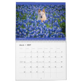Calendrier Matilda & Petunia 2026 (Mar 2027)