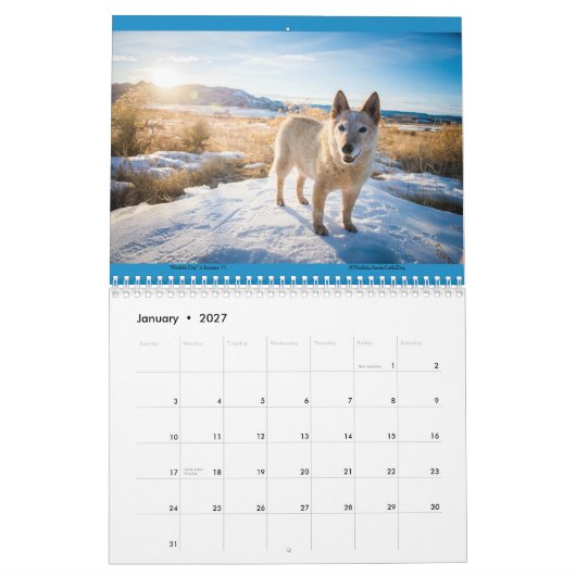 Calendrier Matilda & Petunia 2026 (Jan 2027)