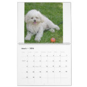 Calendrier Mattie et amis (Mar 2026)