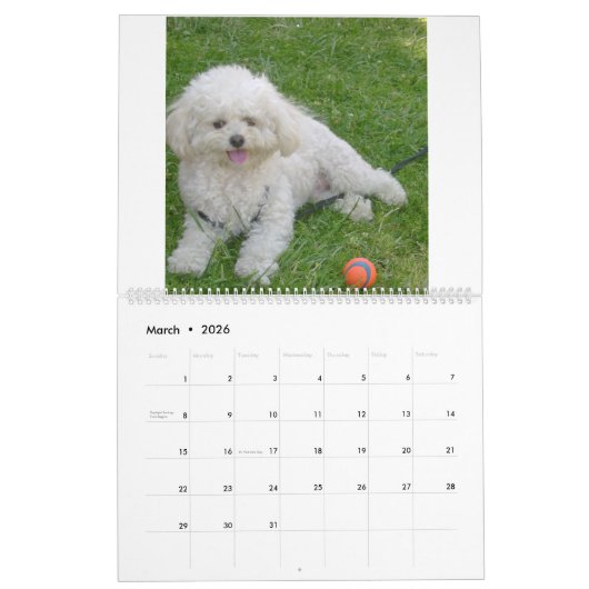 Calendrier Mattie et amis (Mar 2026)