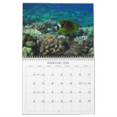 Calendrier Maui sous-marin (Feb 2026)
