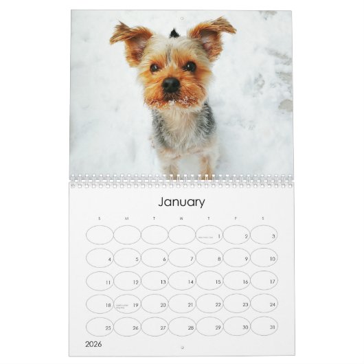 Calendrier Mayzie (Style 2021) (Jan 2026)