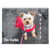 Calendrier Mayzie (Style 2021) (Protection)