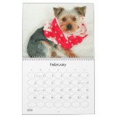 Calendrier Mayzie (Style 2021) (Feb 2026)