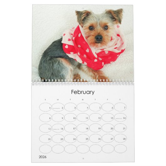 Calendrier Mayzie (Style 2021) (Feb 2026)