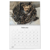 Calendrier Mayzie V (Style 2024) (Feb 2027)