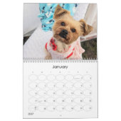 Calendrier Mayzie V (Style 2024) (Jan 2027)