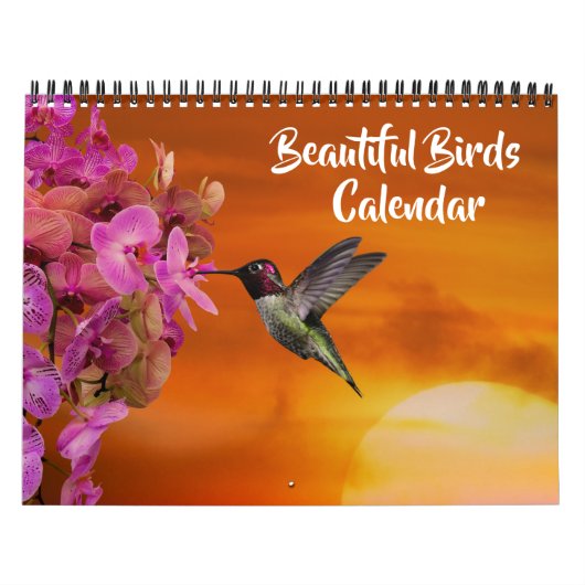 Calendrier Medium Size Beautiful Birds Calendar (Protection)