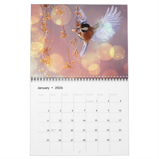 Calendrier Medium Size Beautiful Birds Calendar (Jan 2026)