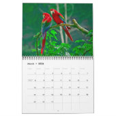 Calendrier Medium Size Beautiful Birds Calendar (Mar 2026)