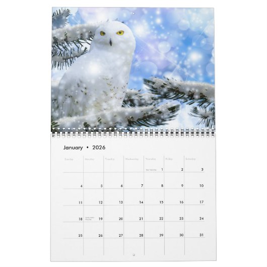 Calendrier Medium Size Beautiful Birds Calendar (Jan 2026)