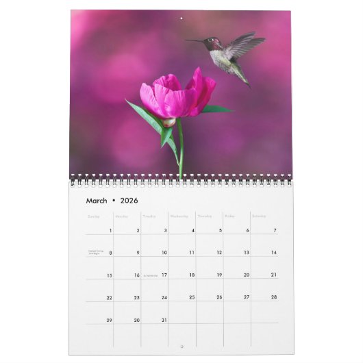 Calendrier Medium Size Beautiful Birds Calendar (Mar 2026)