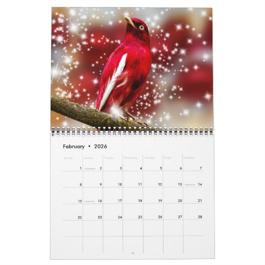 Calendrier Medium Size Beautiful Birds Calendar (Feb 2026)