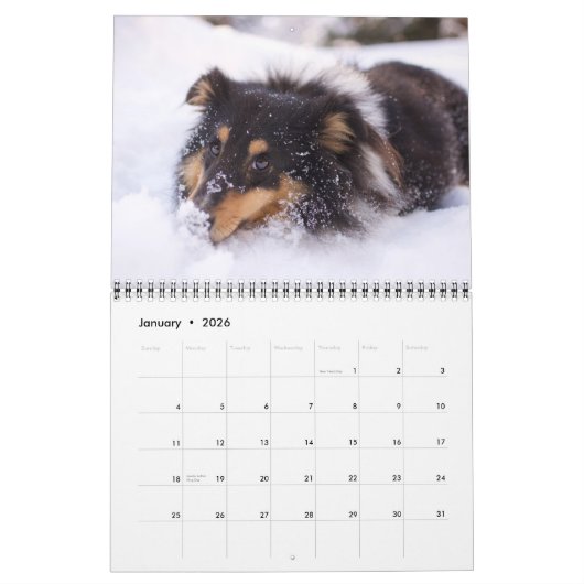 Calendrier Medium Size Dog Lovers Calendar (Jan 2026)