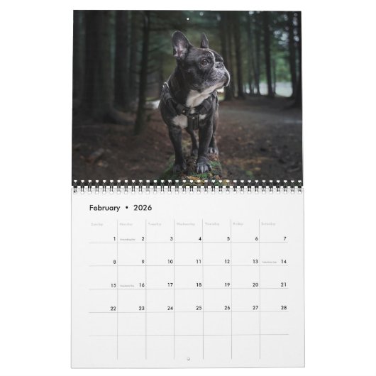 Calendrier Medium Size Dog Lovers Calendar (Feb 2026)