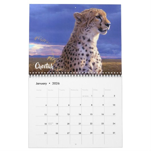 Calendrier Medium Size Exotic Animals Calendar (Jan 2026)