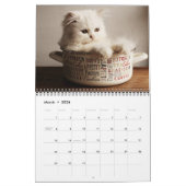 Calendrier Medium Size Kittens Calendar (Mar 2026)